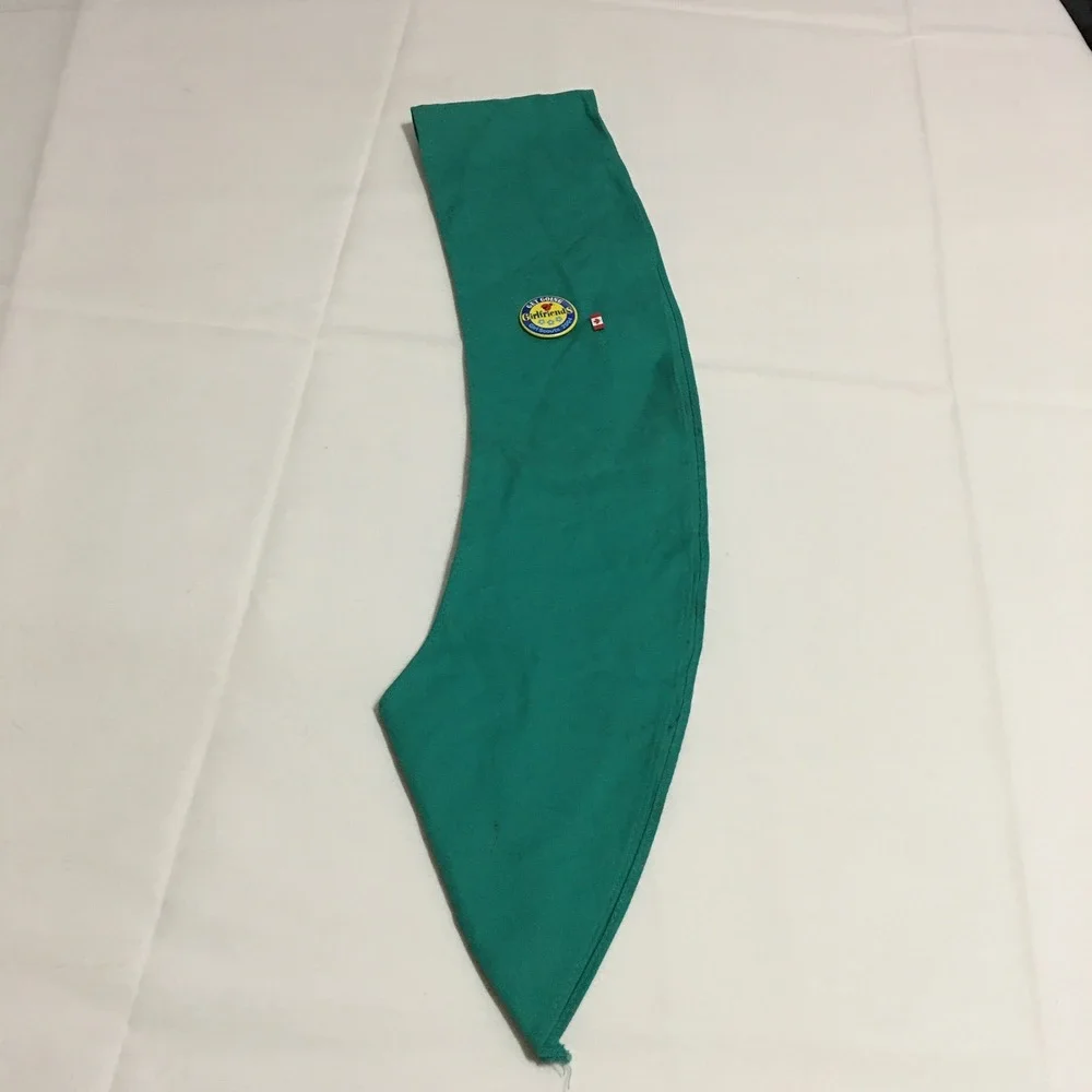 Girl Scouts Junior Sash Kids Regular Green Heart of Florida Troop 220 Patches